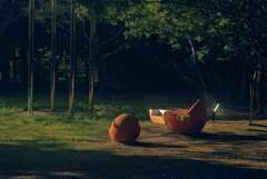 公園のみかん遊具