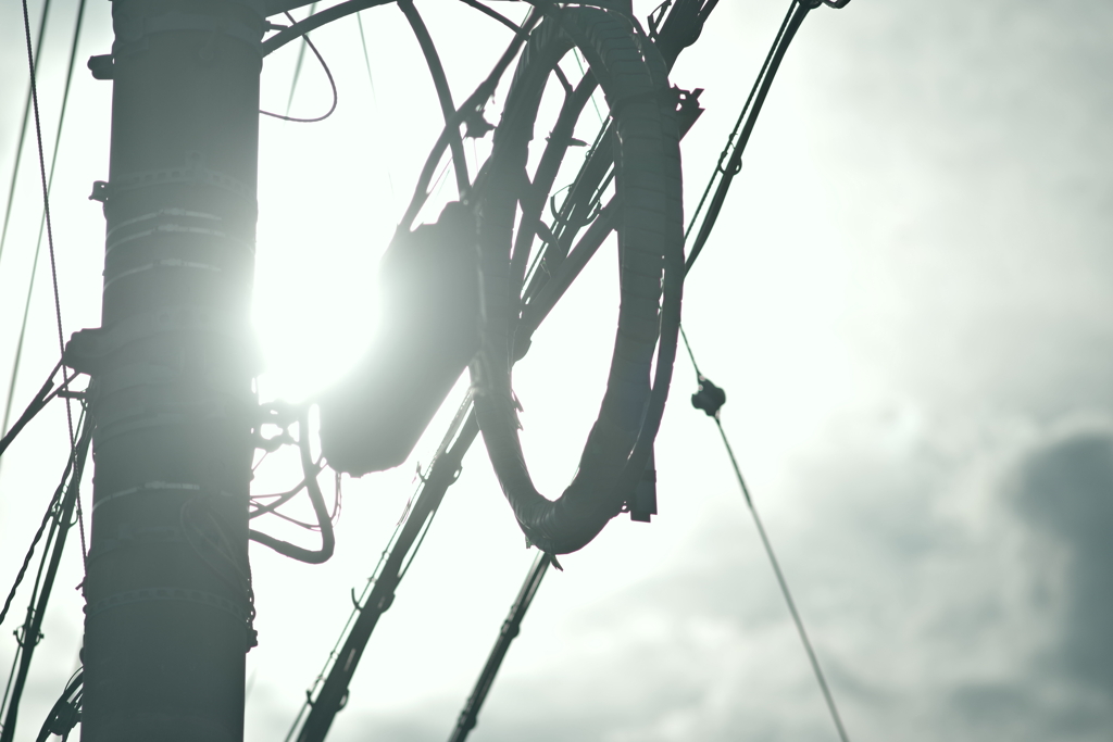 夏日の電柱