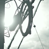 夏日の電柱