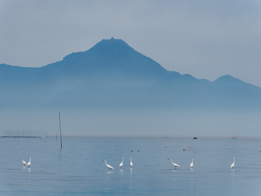 雲仙普賢岳と野鳥