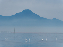 雲仙普賢岳と野鳥