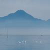 雲仙普賢岳と野鳥