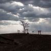 Desierto, Puerta Torii y Nubes