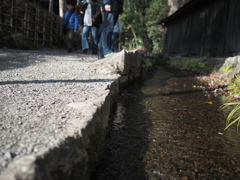 真姿の池湧水群
