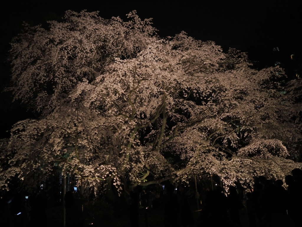 ザ・六義園