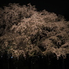 ザ・六義園