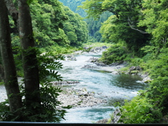 多摩川を歩く