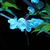 ゲーミング夜桜3