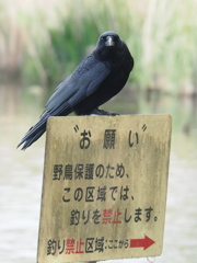 禁止な？