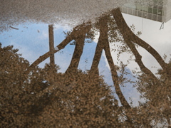 雨の合間に