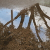 雨の合間に
