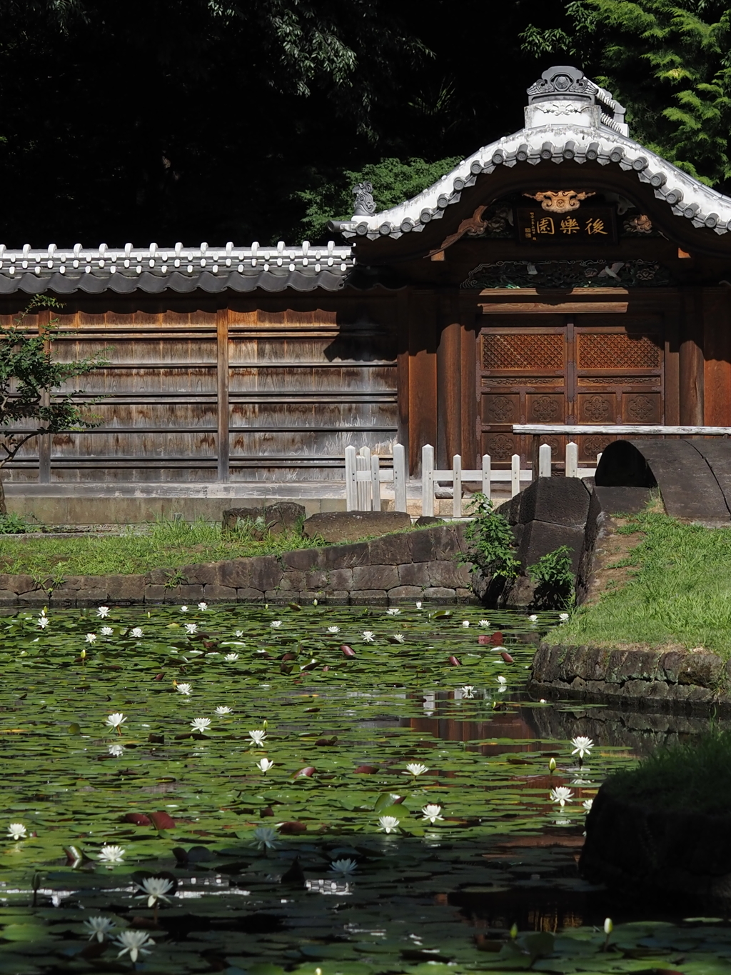 小石川後楽園