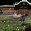 小石川後楽園