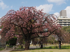 私、キレイ？