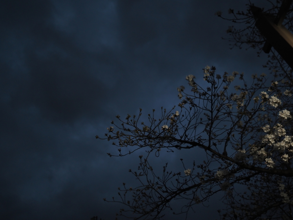 嵐の前の…（3/3）