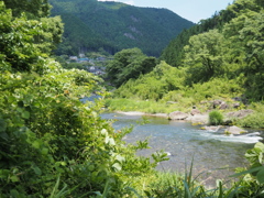 多摩川を歩く3