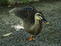 カッコよく撮ってよ？