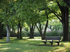 雨上がりの公園で