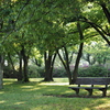 雨上がりの公園で