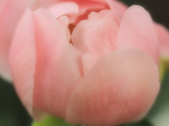 ふんわり