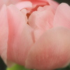 ふんわり