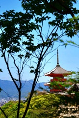 京都っぽい