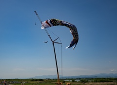 悠遊