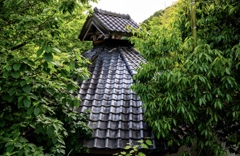 変な屋根