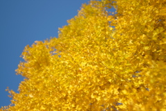 368E1D48-779C-4EDD-BF74-71629638150E-877