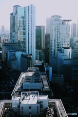 大都市