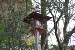 まだ灯らない火