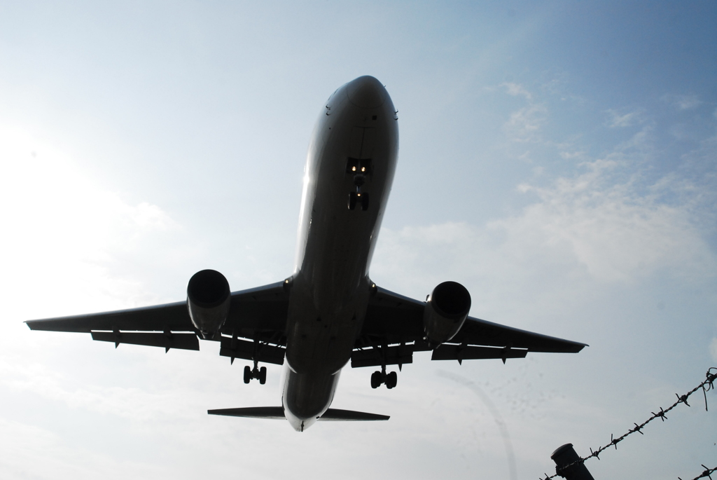 空に羽ばたけ