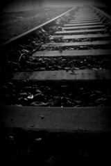 abandon