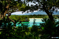石垣島　川平湾