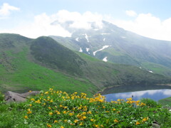 鳥海山の夏