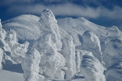八甲田山の樹氷　