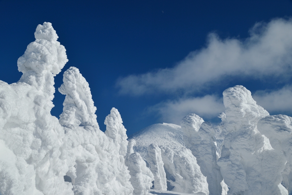 青空に向かって