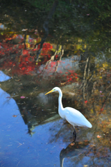 ジッと　待つ．．．