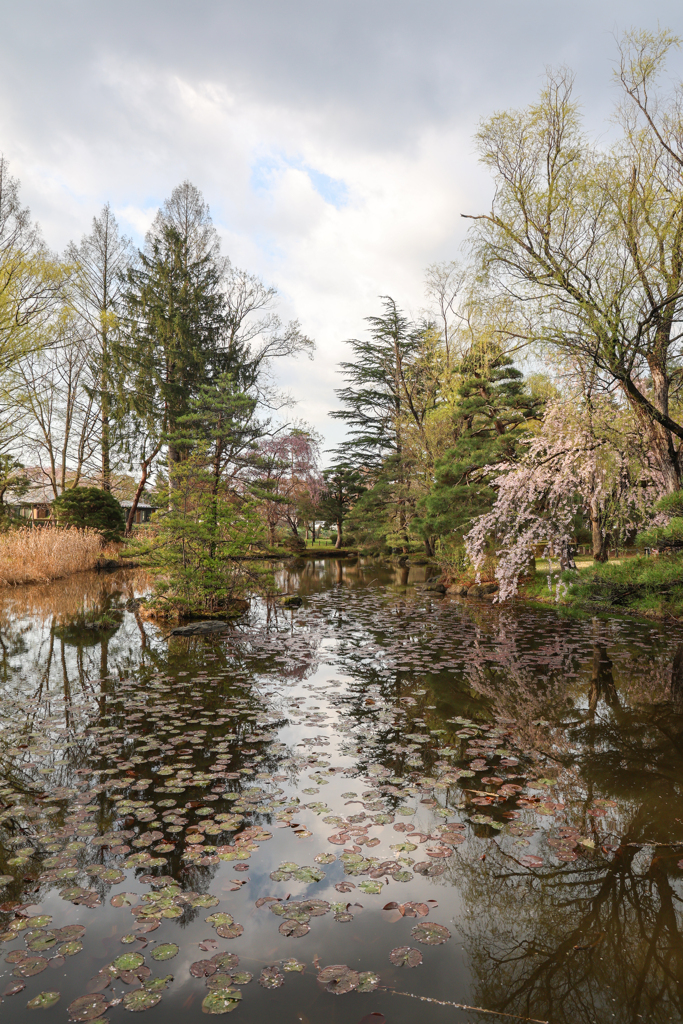運動公園の庭園