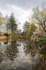 運動公園の庭園