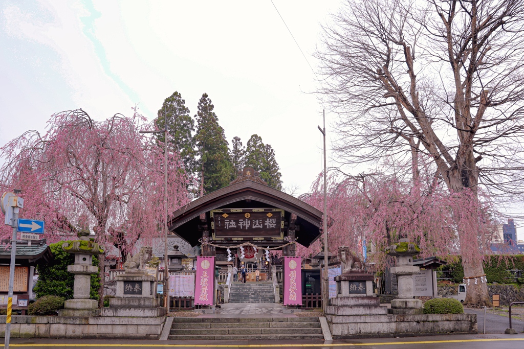 櫻山神社