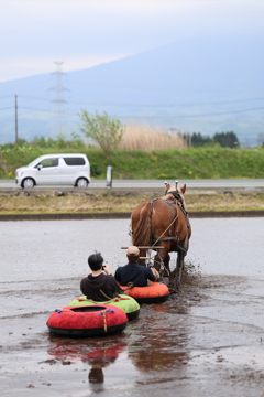 馬耕
