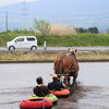 馬耕
