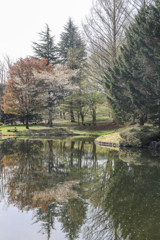 森林公園