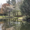 森林公園