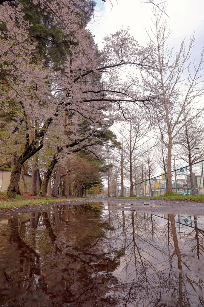 雨上がり
