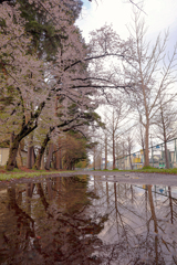 雨上がり