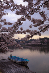 高松の池