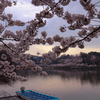 高松の池