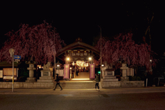櫻山神社